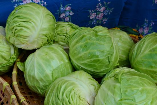 Cabbage(REPOLYO)