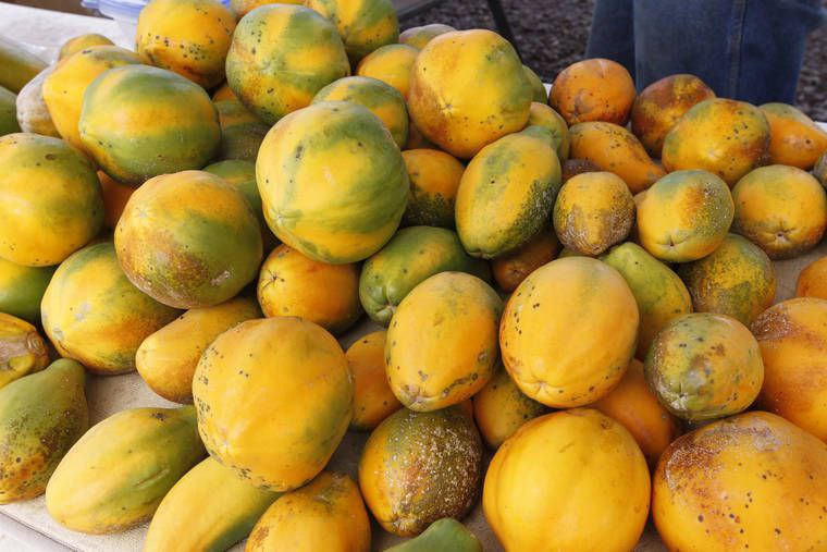 Papaya