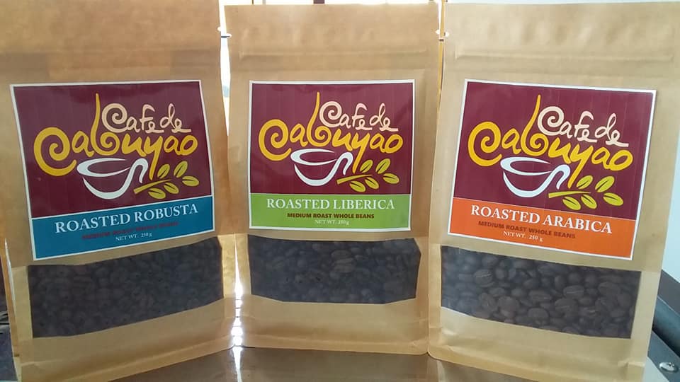 Coffee Beans (Robusta)