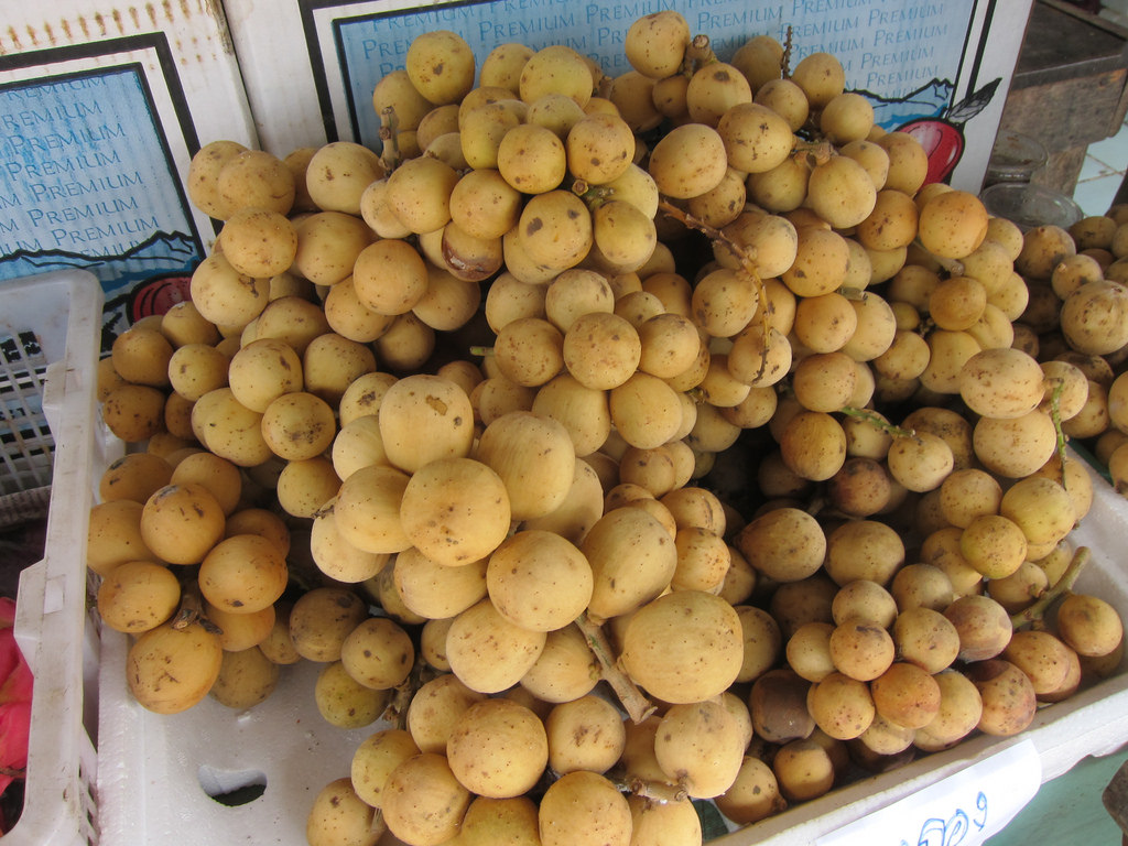 Lanzones