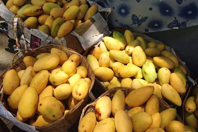 Mango (Carabao)