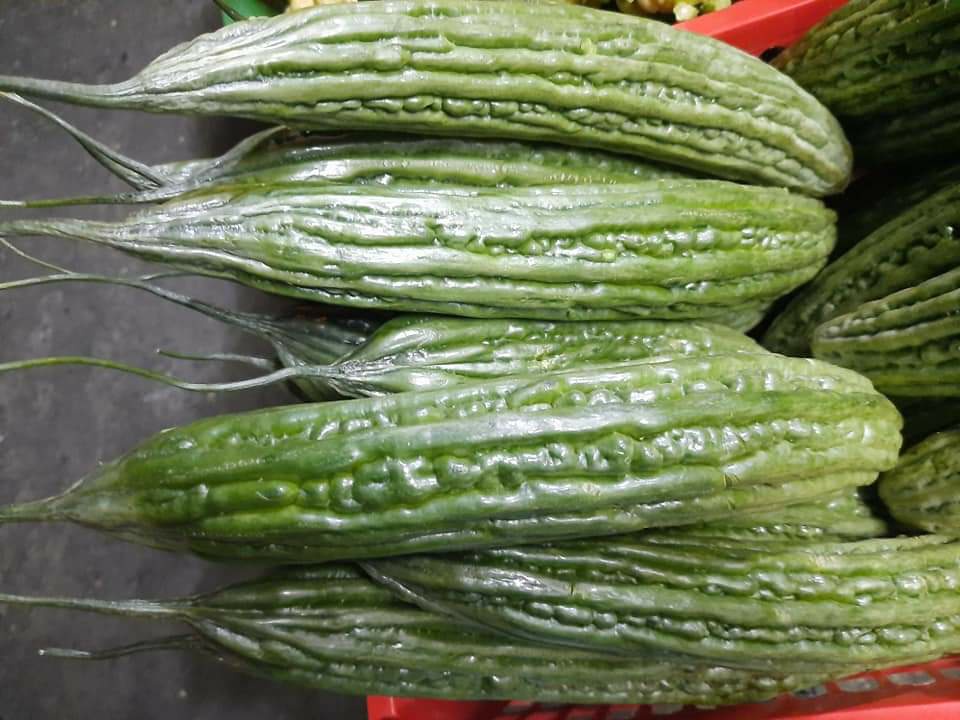 Ampalaya